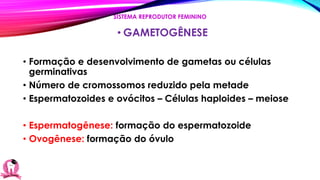 • GAMETOGÊNESE
• Formação e desenvolvimento de gametas ou células
germinativas
• Número de cromossomos reduzido pela metade
• Espermatozoides e ovócitos – Células haploides – meiose
• Espermatogênese: formação do espermatozoide
• Ovogênese: formação do óvulo
SISTEMA REPRODUTOR FEMININO
 