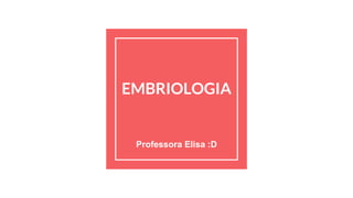 EMBRIOLOGIA
Professora Elisa :D
 