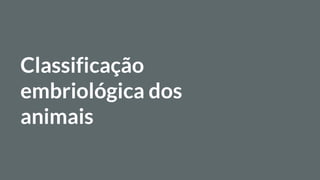 Classificação
embriológica dos
animais
 