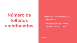 Número de
folhetos
embrionários
Diblásticos: com ectoderma e
endoderma.
Triblásticos: com ectoderma,
mesoderma e endoderma.
 