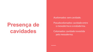 Presença de
cavidades
Acelomados: sem cavidade.
Pseudocelomados: cavidade entre
o mesoderma e o endoderma.
Celomados: cavidade revestida
pelo mesoderma.
 