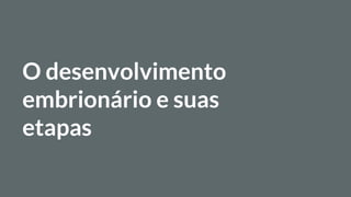 O desenvolvimento
embrionário e suas
etapas
 