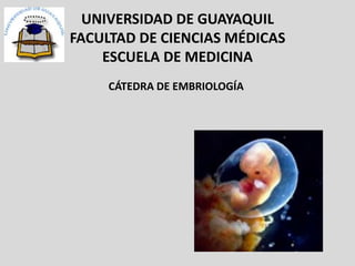 UNIVERSIDAD DE GUAYAQUIL
FACULTAD DE CIENCIAS MÉDICAS
ESCUELA DE MEDICINA
CÁTEDRA DE EMBRIOLOGÍA
 