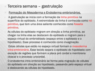    Terceira semana – gastrulação
 Formação do Mesoderma e Endoderma embrionários.
    A gastrulação se inicia com a formação da linha primitiva na
    superfície do epiblasto. A extremidade da linha é conhecida como nó
    primitivo, que tem uma área saliente conhecida como fosseta
    primitiva.
   As células do epiblasto migram em direção a linha primitiva, ao
    chegar na linha elas se destacam do epiblasto e migram para o
    espaço virtual do embrioblasto (espaço entre o epiblasto e o
    hipoblasto). Esse processo é conhecido como invaginação.
    Estas células que estão no espaço virtual formam o mesoderma
    intra-embrionário. Esse tecido separa o epiblasto do hipoblasto com
    exceção de regiões que formam a placa pré cordal a membrana
    cloacal e o processo urocordal.
   O endoderma intra embrionário se forma pela migração de células
    do epiblasto em direção ao hipoblasto, passando pelo espaço virtual
    e deslocando as células do hipoblasto.
 