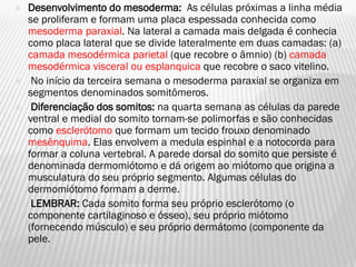    Desenvolvimento do mesoderma: As células próximas a linha média
    se proliferam e formam uma placa espessada conhecida como
    mesoderma paraxial. Na lateral a camada mais delgada é conhecia
    como placa lateral que se divide lateralmente em duas camadas: (a)
    camada mesodérmica parietal (que recobre o âmnio) (b) camada
    mesodérmica visceral ou esplanquica que recobre o saco vitelino.
    No início da terceira semana o mesoderma paraxial se organiza em
    segmentos denominados somitômeros.
    Diferenciação dos somitos: na quarta semana as células da parede
    ventral e medial do somito tornam-se polimorfas e são conhecidas
    como esclerótomo que formam um tecido frouxo denominado
    mesênquima. Elas envolvem a medula espinhal e a notocorda para
    formar a coluna vertebral. A parede dorsal do somito que persiste é
    denominada dermomiótomo e dá origem ao miótomo que origina a
    musculatura do seu próprio segmento. Algumas células do
    dermomiótomo formam a derme.
    LEMBRAR: Cada somito forma seu próprio esclerótomo (o
    componente cartilaginoso e ósseo), seu próprio miótomo
    (fornecendo músculo) e seu próprio dermátomo (componente da
    pele.
 