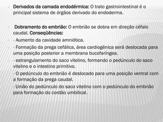    Derivados da camada endodérmica: O trato gastrointestinal é o
    principal sistema de órgãos derivado do endoderma.

    Dobramento do embrião: O embrião se dobra em direção céfalo
    caudal. Conseqüências:
   - Aumento da cavidade amniótica.
   - Formação da prega cefálica, área cardiogênica será deslocada para
    uma posição posterior a membrana bucofaríngea.
   - estrangulamento do saco vitelino, formando o pedúnculo do saco
    vitelino e o intestino primitivo.
   - O pedúnculo do embrião é deslocado para uma posição ventral com
    a formação da prega caudal.
   - União do pedúnculo do saco vitelino com o pedúnculo do embrião
    para formação do cordão umbilical.
 