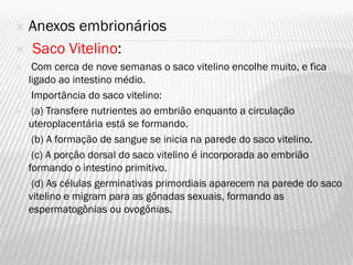 Anexos embrionários
 Saco Vitelino:
    Com cerca de nove semanas o saco vitelino encolhe muito, e fica
    ligado ao intestino médio.
    Importância do saco vitelino:
    (a) Transfere nutrientes ao embrião enquanto a circulação
    uteroplacentária está se formando.
    (b) A formação de sangue se inicia na parede do saco vitelino.
    (c) A porção dorsal do saco vitelino é incorporada ao embrião
    formando o intestino primitivo.
    (d) As células germinativas primordiais aparecem na parede do saco
    vitelino e migram para as gônadas sexuais, formando as
    espermatogônias ou ovogônias.
 