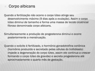    Corpo albicans

Quando a fertilização não ocorre o corpo lúteo atinge seu
  desenvolvimento máximo (9 dias após a ovulação). Assim o corpo
  lúteo diminui de tamanho e forma uma massa de tecido cicatricial
  fibroso denominada corpo albicans.

Simultaneamente a produção de progesterona diminui e ocorre
   posteriormente a menstruação.

Quando o ovócito é fertilizado, o hormônio gonadotrofina coriônica
  (hormônio produzido e secretado pelas células do trofoblasto)
  impede a degeneração do corpo lúteo, assim ele continua a crescer
  formando o corpo lúteo da gravidez e secreta progesterona até
  aproximadamente o quarto mês de gestação.
 