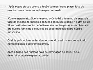  Após essas etapas ocorre a fusão da membrana plasmática do
 ovócito com a membrana do espermatozóide.

    Com o espermatozóide imerso no ovócito há o termino da segunda
    fase da meiose, formando o segundo corpúsculo polar. A outra célula
    filha constitui o ovócito definitivo e seu núcleo passa a ser chamado
    pró-núcleo feminino e o núcleo do espermatozóide: pró-núcleo
    masculino.


   Os dois pró-núcleos se fundem ocorrendo assim a restauração do
    número diplóide de cromossomos.


   Após a fusão dos núcleos há a determinação do sexo. Pois é
    determinada pelo espermatozóide.
 