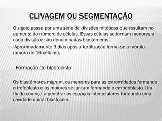 CLIVAGEM OU SEGMENTAÇÃO
   O zigoto passa por uma série de divisões mitóticas que resultam no
    aumento do número de células. Essas células se tornam menores a
    cada divisão e são denominadas blastômeros.
    Aproximadamente 3 dias após a fertilização forma-se a mórula
    (amora de 16 células).

     Formação do blastocisto

   Os blastômeros migram, os menores para as extremidades formando
    o trofoblasto e os maiores se juntam formando o embrioblasto. Um
    fluido começa a penetrar os espaços intercelulares formando uma
    cavidade única: blastocele.
 