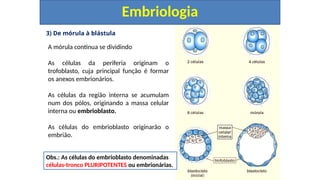 3) De mórula à blástula
Embriologia
A mórula continua se dividindo
As células da periferia originam o
trofoblasto, cuja principal função é formar
os anexos embrionários.
As células da região interna se acumulam
num dos pólos, originando a massa celular
interna ou embrioblasto.
As células do embrioblasto originarão o
embrião.
Obs.: As células do embrioblasto denominadas
células-tronco PLURIPOTENTES ou embrionárias.
 