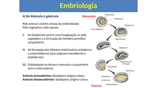 4) De blástula à gástrula
Embriologia
Pólo animal: contém células do embrioblasto
Pólo vegetetivo: lado oposto
I) No blastocisto ocorre uma invaginação no pólo
vegetativo e a formação do intestino primitivo
(arquêntero).
II) Há formação dos folhetos embrionários ectoderma
e mesentoderme (que originará mesoderme e
endoderme).
III) O blastóporo se forma e comunica o arquêntero
com o meio externo.
Animais protostômios: blastóporo origina a boca.
Animais deuterostômios: blastóporo origina o ânus.
Gástrula
Blastocisto
 