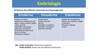 6) Destino dos folhetos embrionários (Organogênese)
Embriologia
Ectoderme Mesoderme Endoderme
Sistema nervoso.
Epitélio de revestimento da
pele e anexos cutânos (pêlos,
unhas, garras).
Glândulas sudoríparas,
sebáceas e mamárias.
Revestimento interno da
boca é do ânus.
Esmalte dos dentes.
Tecido ósseo.
Tecido muscular.
Derme.
Aparelho circulatório.
Aparelho reprodutor.
Aparelho excretor.
Epitélio de revestimento
interno dos pulmões, bexiga
e intestino.
Pâncreas e Fígado.
Uretra.
Obs.: Tecido Conjuntivo: Provém da mesoderme.
Tecido Epitelial: Provém dos três folhetos embrionários.
 