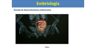 Revisão do desenvolvimento embrionário
Embriologia
Vídeo
 