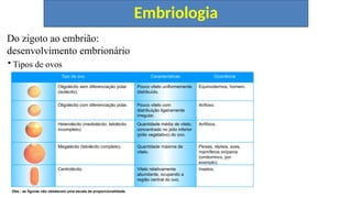 Embriologia
• Tipos de ovos
Insetos.
Vitelo relativamente
abundante, ocupando a
região central do ovo.
Centrolécito.
Peixes, répteis, aves,
mamíferos ovíparos
(ornitorrinco, por
exemplo).
Quantidade máxima de
vitelo.
Megalécito (telolécito completo).
Anfíbios.
Quantidade média de vitelo,
concentrado no pólo inferior
(pólo vegetativo) do ovo.
Heterolécito (mediolécito, telolécito
incompleto).
Anfioxo.
Pouco vitelo com
distribuição ligeiramente
irregular.
Oligolécito com diferenciação polar.
Equinodermos, homem.
Pouco vitelo uniformemente
distribuído.
Oligolécito sem diferenciação polar
(isolécito).
Ocorrência
Características
Tipo de ovo
Obs.: as figuras não obedecem uma escala de proporcionalidade.
Do zigoto ao embrião:
desenvolvimento embrionário
 