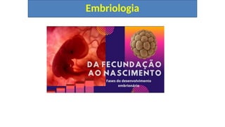 Embriologia
 