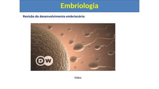Revisão do desenvolvimento embrionário
Embriologia
Vídeo
 