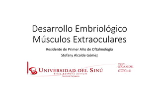 Desarrollo Embriológico
Músculos Extraoculares
Residente de Primer Año de Oftalmología
Stefany Alcalde Gómez
 