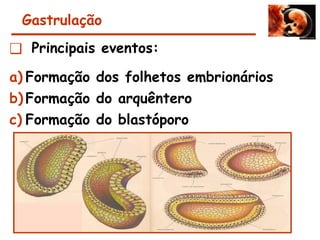 Gastrulação
❑ Principais eventos:
a) Formação dos folhetos embrionários
b) Formação do arquêntero
c) Formação do blastóporo
 