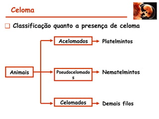 ❑ Classificação quanto a presença de celoma
Celoma
Animais
Acelomados
Pseudocelomado
s
Celomados
Platelmintos
Nematelmintos
Demais filos
 