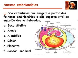 Anexos embrionários
❑ São estruturas que surgem a partir dos
folhetos embrionários e dão suporte vital ao
embrião dos vertebrados.
a. Saco vitelino
b. Âmnio
c. Alantóide
d. Córion
e. Placenta
f. Cordão umbilical
 