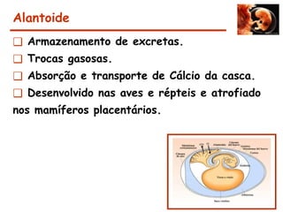 Alantoide
❑ Armazenamento de excretas.
❑ Trocas gasosas.
❑ Absorção e transporte de Cálcio da casca.
❑ Desenvolvido nas aves e répteis e atrofiado
nos mamíferos placentários.
 