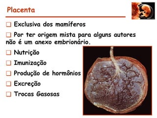 Placenta
❑ Exclusiva dos mamíferos
❑ Por ter origem mista para alguns autores
não é um anexo embrionário.
❑ Nutrição
❑ Imunização
❑ Produção de hormônios
❑ Excreção
❑ Trocas Gasosas
 