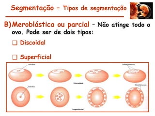Segmentação – Tipos de segmentação
B)Meroblástica ou parcial – Não atinge todo o
ovo. Pode ser de dois tipos:
❑ Discoidal
❑ Superficial
 