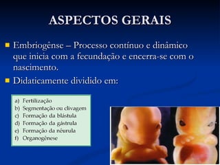ASPECTOS GERAIS Embriogênse – Processo contínuo e dinâmico que inicia com a fecundação e encerra-se com o nascimento. Didaticamente dividido em: 