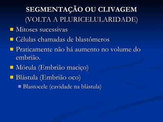 SEGMENTAÇÃO OU CLIVAGEM (VOLTA A PLURICELULARIDADE) Mitoses sucessivas Células chamadas de blastômeros Praticamente não há aumento no volume do embrião. Mórula (Embrião maciço) Blástula (Embrião oco) Blastocele (cavidade na blástula) 