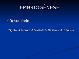EMBRIOGÊNESE Resumindo: Zigoto    Mórula   Blástula   Gástrula   Nêurula 