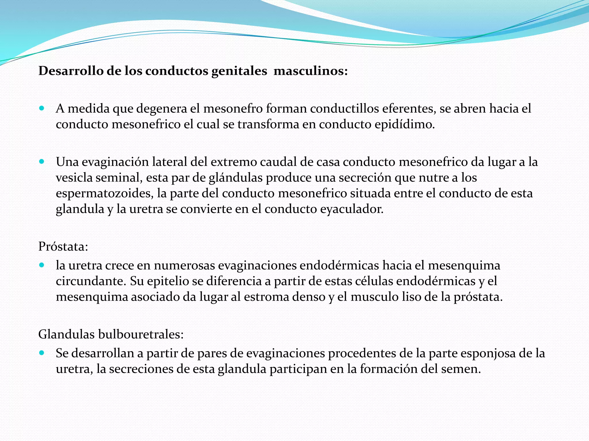 Desarrollo de los conductos genitales masculinos:

 A medida que degenera el mesonefro forman conductillos eferentes, se abren hacia el
  conducto mesonefrico el cual se transforma en conducto epidídimo.

 Una evaginación lateral del extremo caudal de casa conducto mesonefrico da lugar a la
  vesicla seminal, esta par de glándulas produce una secreción que nutre a los
  espermatozoides, la parte del conducto mesonefrico situada entre el conducto de esta
  glandula y la uretra se convierte en el conducto eyaculador.

Próstata:
 la uretra crece en numerosas evaginaciones endodérmicas hacia el mesenquima
   circundante. Su epitelio se diferencia a partir de estas células endodérmicas y el
   mesenquima asociado da lugar al estroma denso y el musculo liso de la próstata.

Glandulas bulbouretrales:
 Se desarrollan a partir de pares de evaginaciones procedentes de la parte esponjosa de la
   uretra, la secreciones de esta glandula participan en la formación del semen.
 