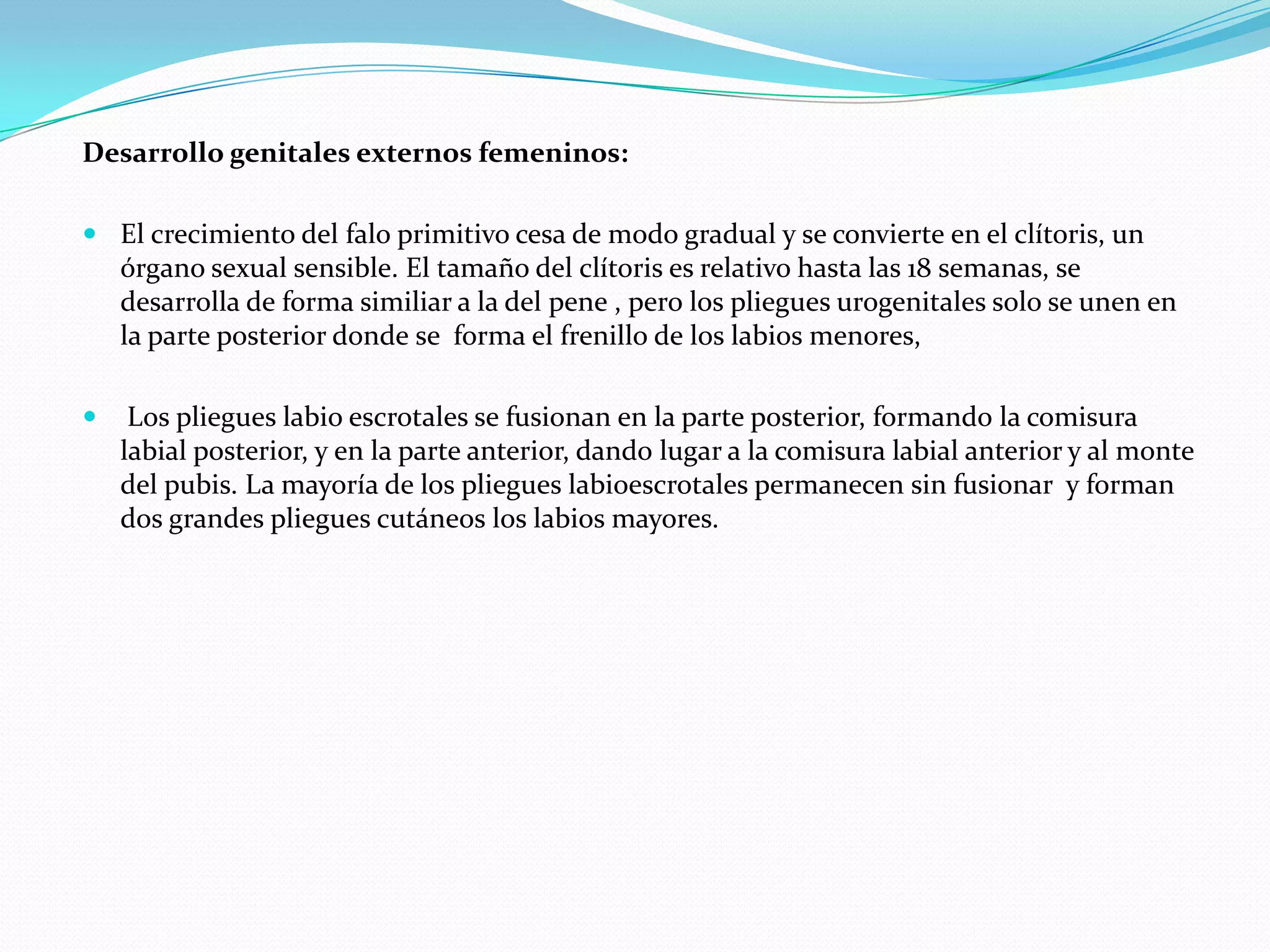 Desarrollo genitales externos femeninos:

 El crecimiento del falo primitivo cesa de modo gradual y se convierte en el clítoris, un
  órgano sexual sensible. El tamaño del clítoris es relativo hasta las 18 semanas, se
  desarrolla de forma similiar a la del pene , pero los pliegues urogenitales solo se unen en
  la parte posterior donde se forma el frenillo de los labios menores,

    Los pliegues labio escrotales se fusionan en la parte posterior, formando la comisura
    labial posterior, y en la parte anterior, dando lugar a la comisura labial anterior y al monte
    del pubis. La mayoría de los pliegues labioescrotales permanecen sin fusionar y forman
    dos grandes pliegues cutáneos los labios mayores.
 