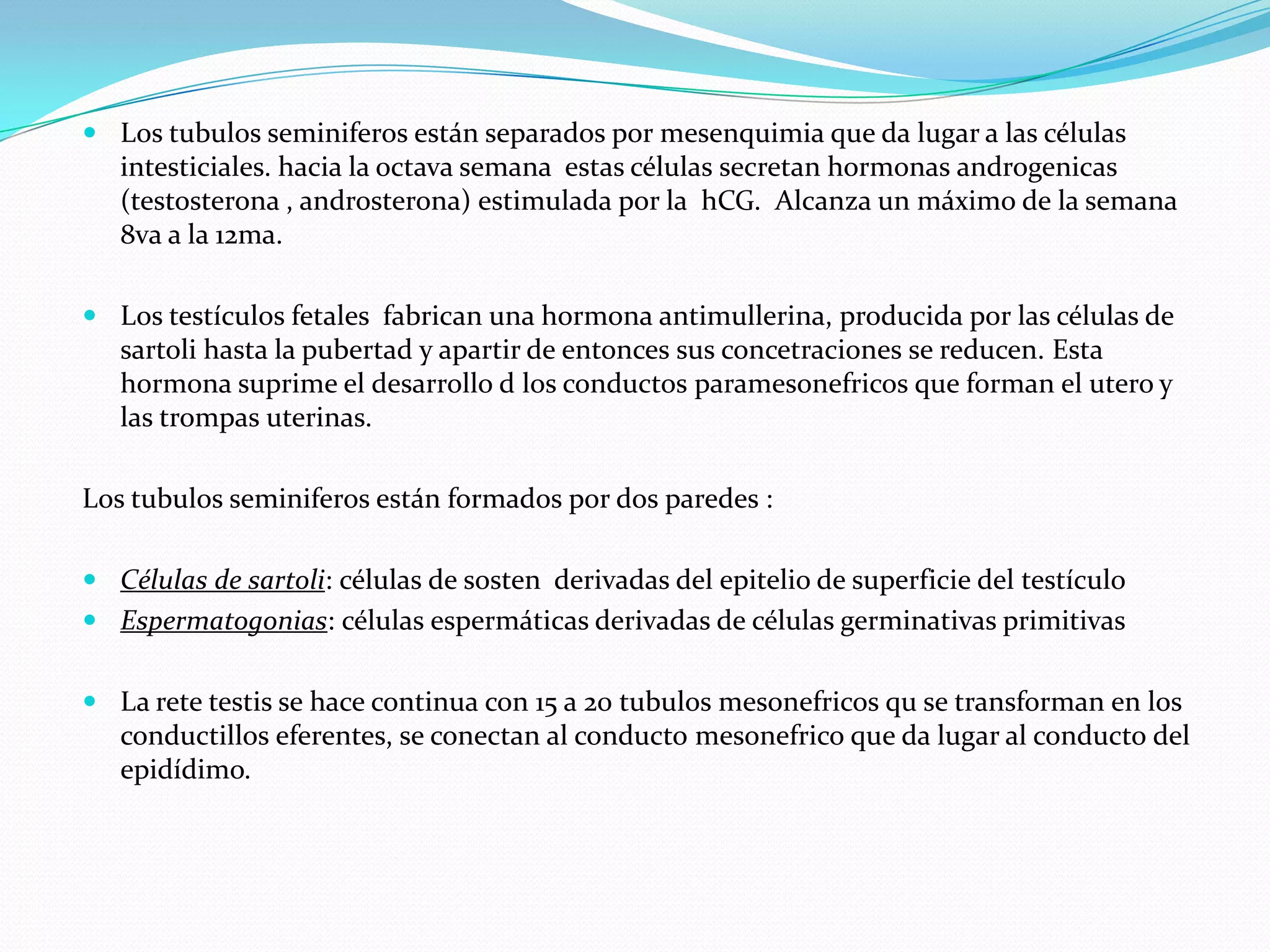  Los tubulos seminiferos están separados por mesenquimia que da lugar a las células
  intesticiales. hacia la octava semana estas células secretan hormonas androgenicas
  (testosterona , androsterona) estimulada por la hCG. Alcanza un máximo de la semana
  8va a la 12ma.

 Los testículos fetales fabrican una hormona antimullerina, producida por las células de
  sartoli hasta la pubertad y apartir de entonces sus concetraciones se reducen. Esta
  hormona suprime el desarrollo d los conductos paramesonefricos que forman el utero y
  las trompas uterinas.

Los tubulos seminiferos están formados por dos paredes :

 Células de sartoli: células de sosten derivadas del epitelio de superficie del testículo
 Espermatogonias: células espermáticas derivadas de células germinativas primitivas


 La rete testis se hace continua con 15 a 20 tubulos mesonefricos qu se transforman en los
  conductillos eferentes, se conectan al conducto mesonefrico que da lugar al conducto del
  epidídimo.
 