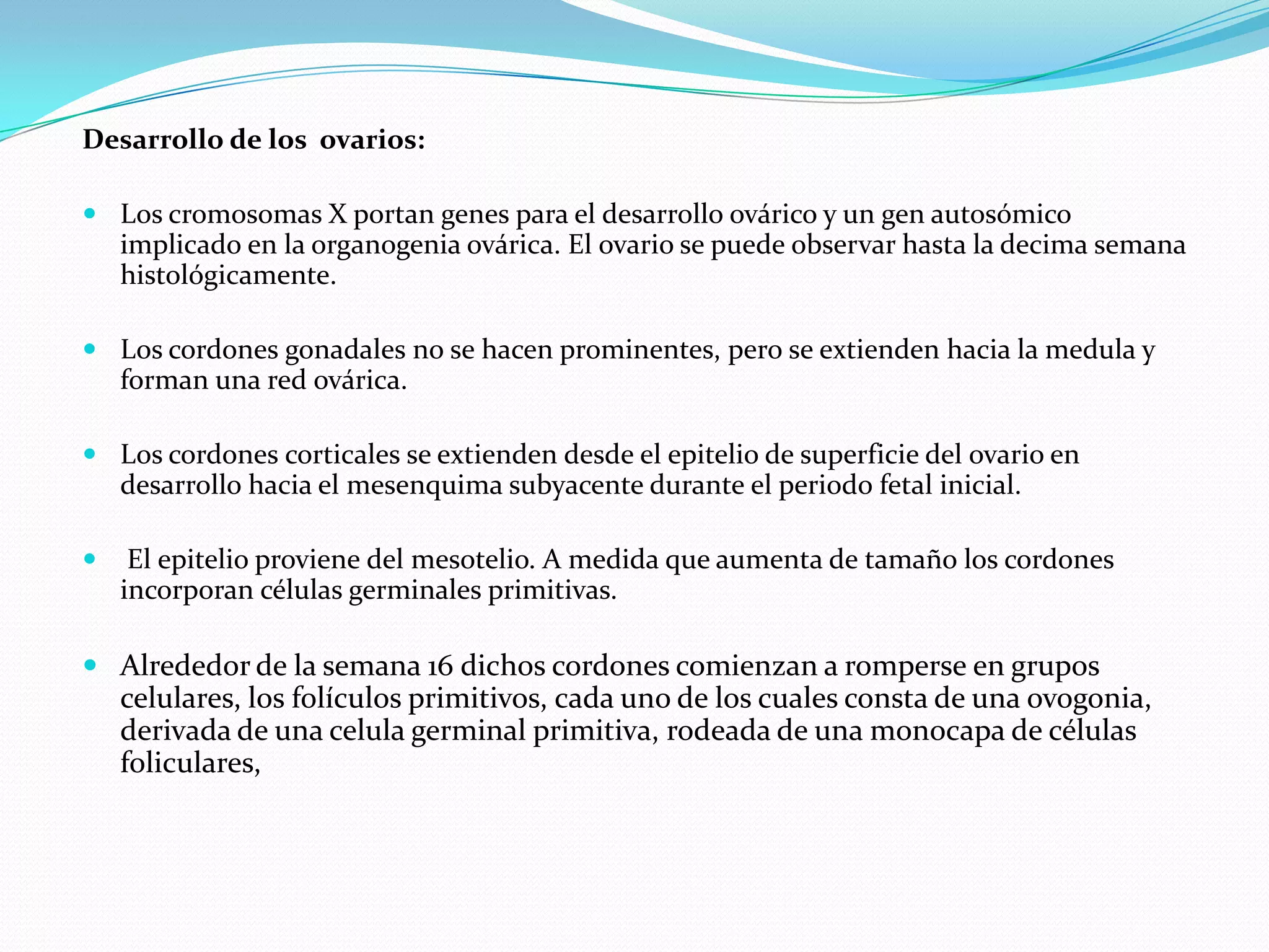 Desarrollo de los ovarios:

 Los cromosomas X portan genes para el desarrollo ovárico y un gen autosómico
  implicado en la organogenia ovárica. El ovario se puede observar hasta la decima semana
  histológicamente.

 Los cordones gonadales no se hacen prominentes, pero se extienden hacia la medula y
  forman una red ovárica.

 Los cordones corticales se extienden desde el epitelio de superficie del ovario en
  desarrollo hacia el mesenquima subyacente durante el periodo fetal inicial.

    El epitelio proviene del mesotelio. A medida que aumenta de tamaño los cordones
    incorporan células germinales primitivas.

 Alrededor de la semana 16 dichos cordones comienzan a romperse en grupos
    celulares, los folículos primitivos, cada uno de los cuales consta de una ovogonia,
    derivada de una celula germinal primitiva, rodeada de una monocapa de células
    foliculares,
 