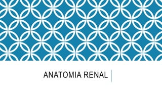ANATOMIA RENAL
 