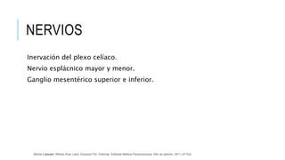 NERVIOS
Inervación del plexo celíaco.
Nervio esplácnico mayor y menor.
Ganglio mesentérico superior e inferior.
Michel Latarjet; Alfredo Ruiz Liard; Eduardo Pró. Editorial: Editorial Médica Panamericana. Año de edición: 2011 (4ª Ed)
 