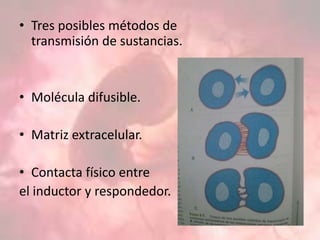 • Tres posibles métodos de
transmisión de sustancias.
• Molécula difusible.
• Matriz extracelular.
• Contacta físico entre
el inductor y respondedor.
 