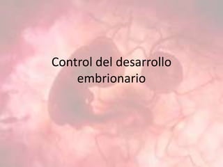 Control del desarrollo
embrionario
 