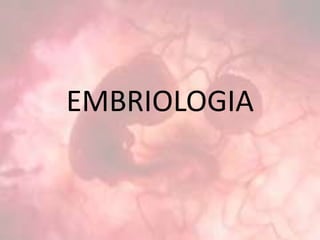 EMBRIOLOGIA
 