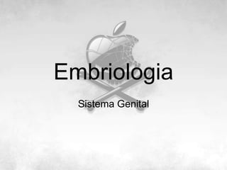 Embriologia Sistema Genital