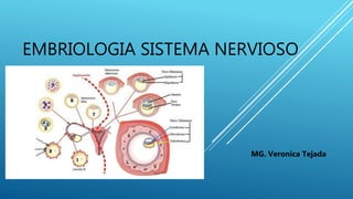 EMBRIOLOGIA SISTEMA NERVIOSO
MG. Veronica Tejada
 