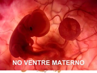 NO VENTRE MATERNO
Um feto de poucas semanas encontra-se
               no interior do útero de sua mãe.
 