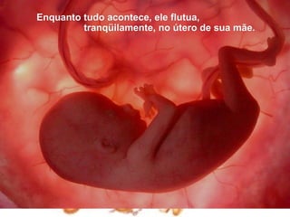 Enquanto tudo acontece, ele flutua,
         tranqüilamente, no útero de sua mãe.
 