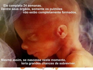 Ele completa 24 semanas.
Dentre seus órgãos, somente os pulmões
              não estão completamente formados.




Mesmo assim, se nascesse neste momento,
           teria grandes chances de sobreviver.
 