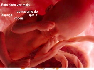 Está cada vez mais

         consciente do
espaço          que o
       rodeia.
 