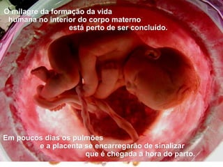 O milagre da formação da vida
 humana no interior do corpo materno
                 está perto de ser concluído.




Em poucos dias os pulmões
        e a placenta se encarregarão de sinalizar
                     que é chegada a hora do parto.
 