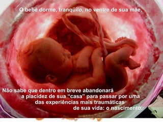 O bebê dorme, tranqüilo, no ventre de sua mãe.




Não sabe que dentro em breve abandonará
      a placidez de sua “casa” para passar por uma
           das experiências mais traumáticas
                          de sua vida: o nascimento.
 