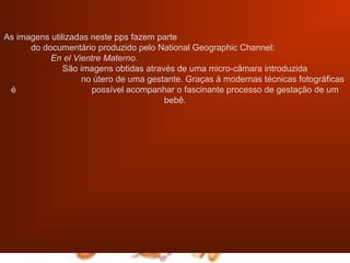 As imagens utilizadas neste pps fazem parte
      do documentário produzido pelo National Geographic Channel:
           En el Vientre Materno.
               São imagens obtidas através de uma micro-câmara introduzida
                   no útero de uma gestante. Graças à modernas técnicas fotográficas
 é                    possível acompanhar o fascinante processo de gestação de um
                                        bebê.
 