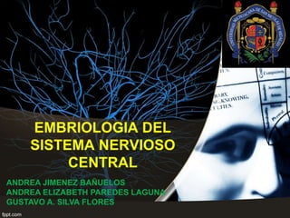 EMBRIOLOGIA DEL
SISTEMA NERVIOSO
CENTRAL
ANDREA JIMENEZ BAÑUELOS
ANDREA ELIZABETH PAREDES LAGUNA
GUSTAVO A. SILVA FLORES
 